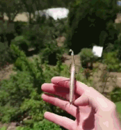 这一别就是一辈子